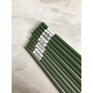 combo 10 ống tre lõi thép bọc nhựa phi 16x900cm dùng để chống đỡ làm giàn cho cây leo .