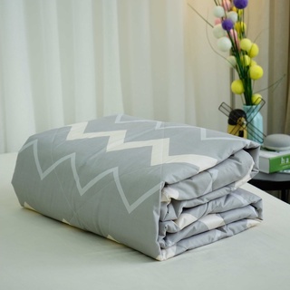 |HÀNG TỒN XẢ KHO| Chăn trần bông Everon Lite chất vải microfiber kích thước 200x220 (cm) ELM 212