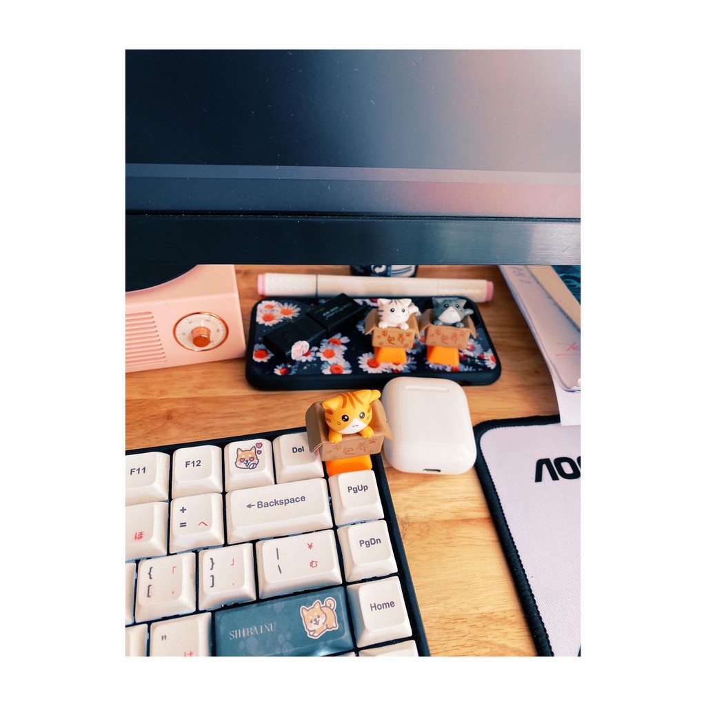 Keycap Mèo Con Trong Hộp Cute [Combo 4màu 99k] [HOT 2021]