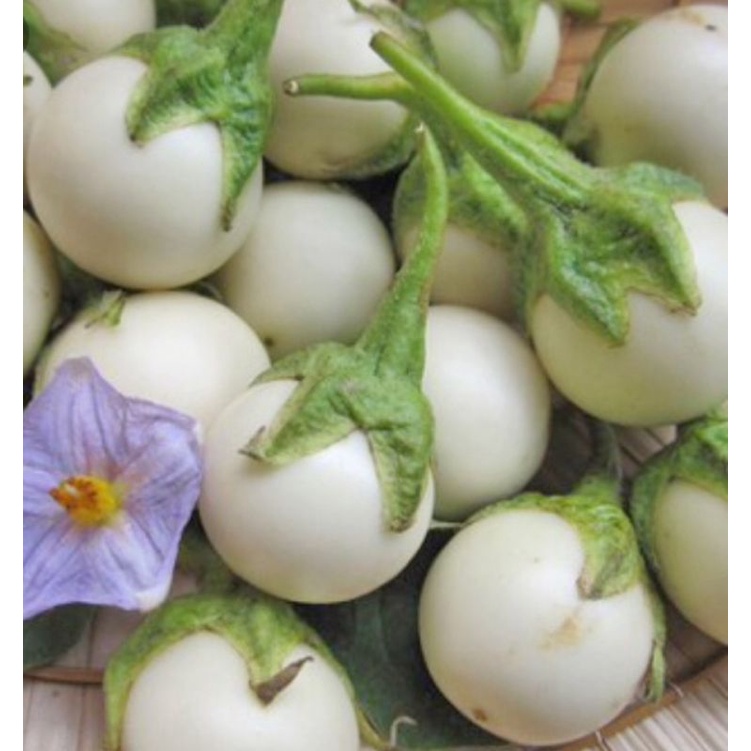 800g cà pháo muối chua nhà làm,đảm bảo sạch ,giòn ,thơm ngon.