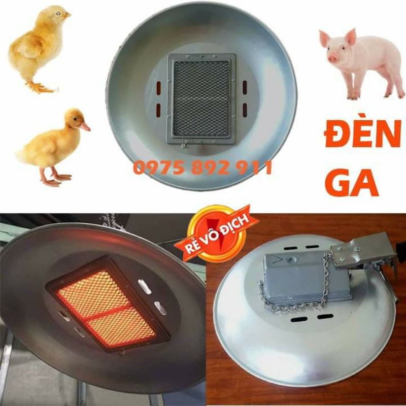 Đèn úm gà bằng ga bình công nghiệp