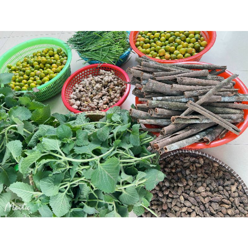 Siro ho thảo mộc quốc dân 🌿🌿