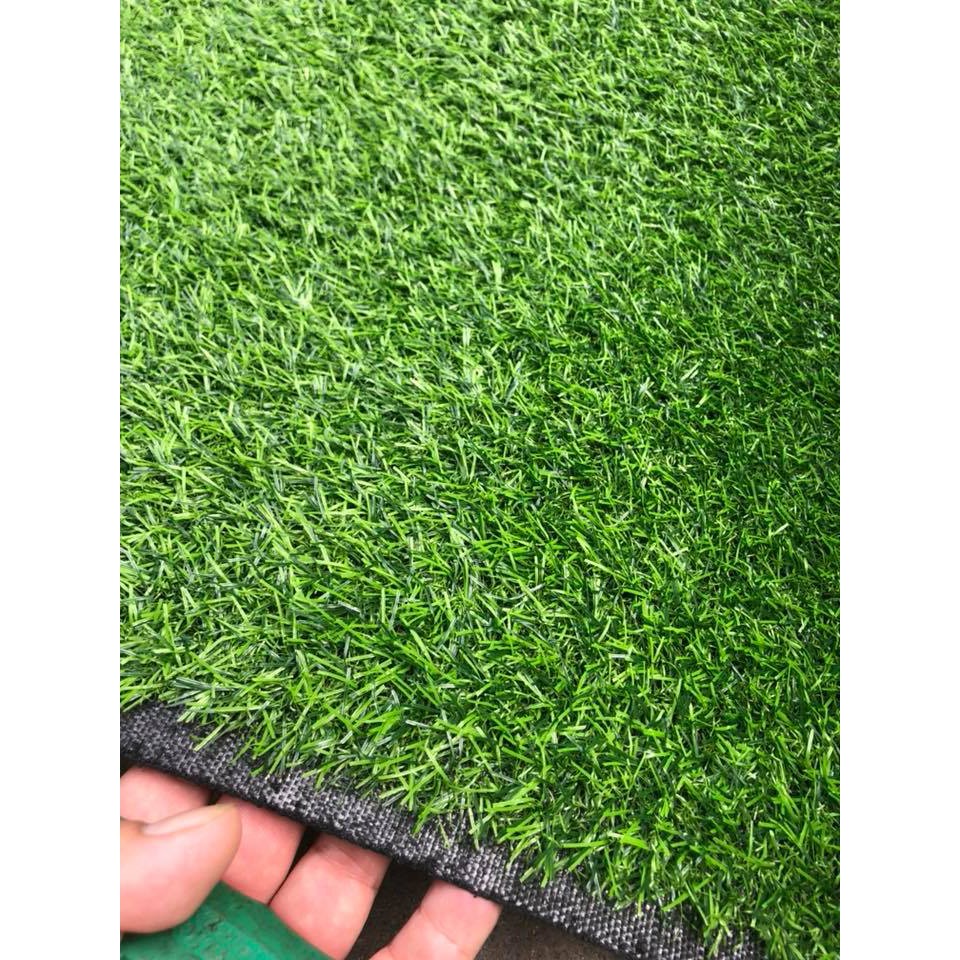 Thảm cỏ nhân tạo trang trí 2cm HCM