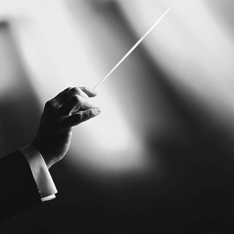 Gậy Baton Chỉ Huy Dàn Nhạc Màu Đen