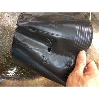 Set 3kg bịch bầu ươm các cỡ