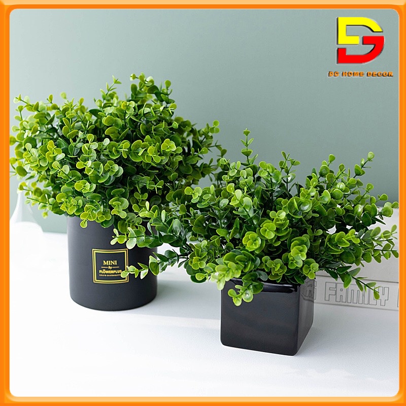 Chậu Cây Kim Tiền Xanh Cây Giả Decor Để Bàn Làm Việc Trang Trí Nhà Cửa Cao 35cm DG-61