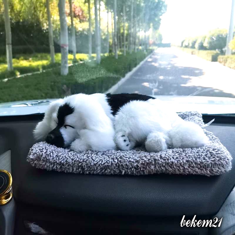 [LOẠI TO] Thú bông GIỐNG THẬT 99% chó mèo sói gấu lõi than hoạt tính lọc không khí khử mùi trang trí xe hơi ô tô | BigBuy360 - bigbuy360.vn