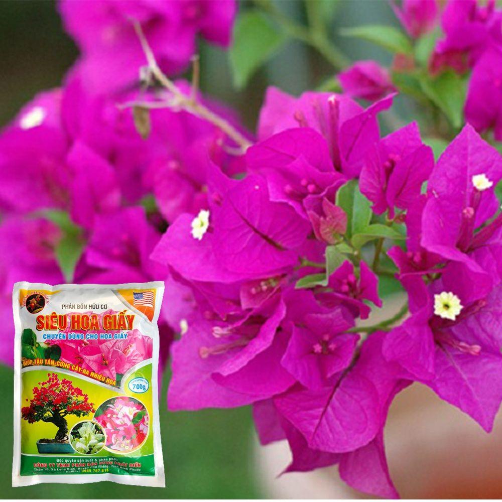 SIÊU HOA GIẤY 700g - Phân Bón Kích Thích Phát Triển Cho Cây