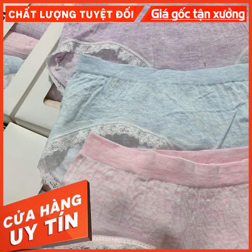 Bán Sỉ Hộp 5 Quần Chip Nữ Quần Lót Nữ Muji Viền Ren Làm Từ Sợi Tre Kháng Khuẩn Hàng Xuất NHật An Toàn Khi Sử Dụng