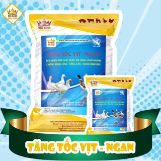 Siêu Tăng Tốc Vịt, Ngan (hàng chuẩn)