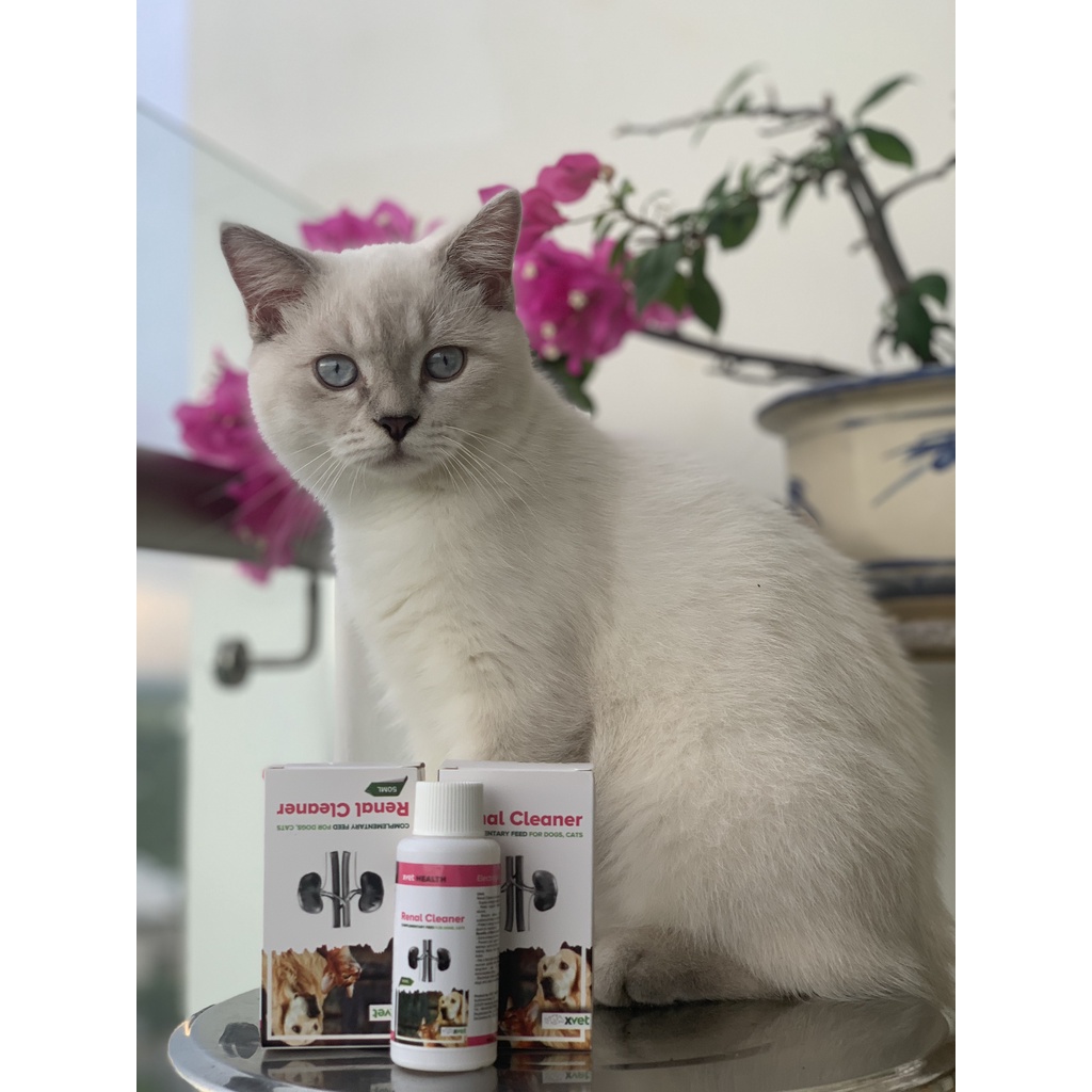 Renal Cleaner sản phẩm hỗ trợ chức năng thận cho chó mèo