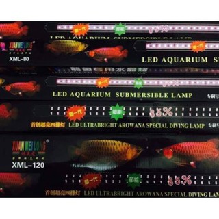 Đèn led xuanmeilong 1m -1m2 cho hồ cá rồng