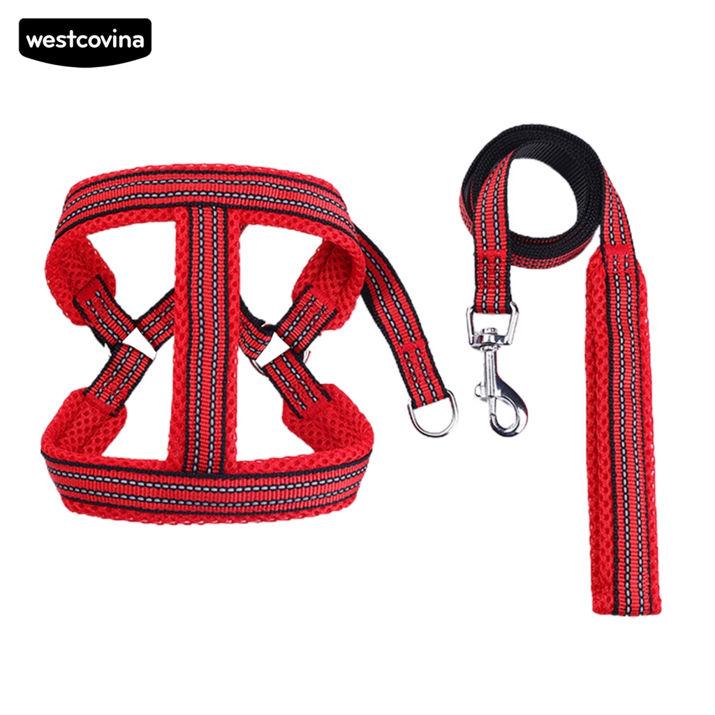 Dây Dắt Chó Phản Quang Thoáng Khí Chống Rách Màu Sáng