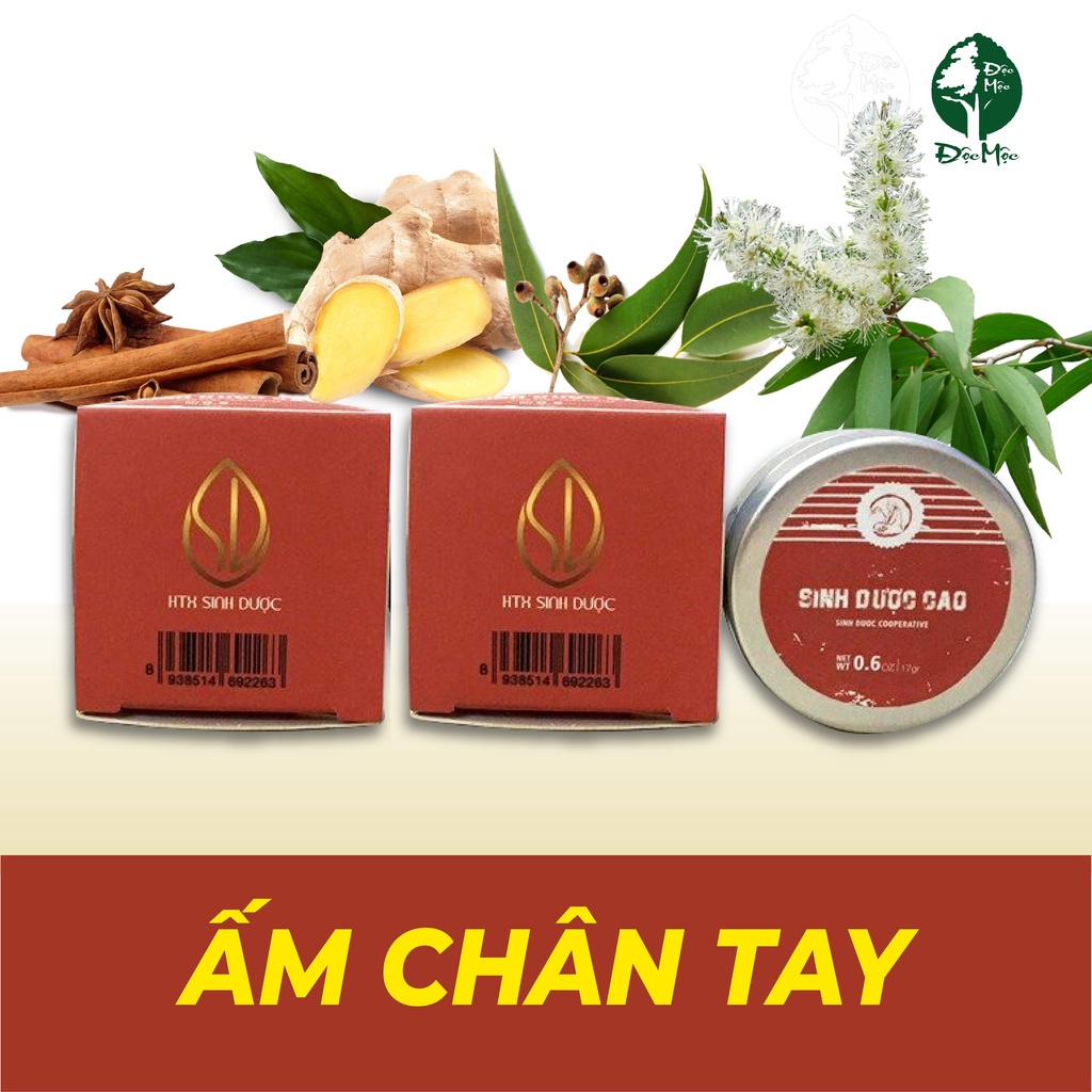 Cao Xoa Bóp Sinh Dược Độc Mộc - Giảm Đau Nhức, Dịu Vết Côn Trùng Cắn