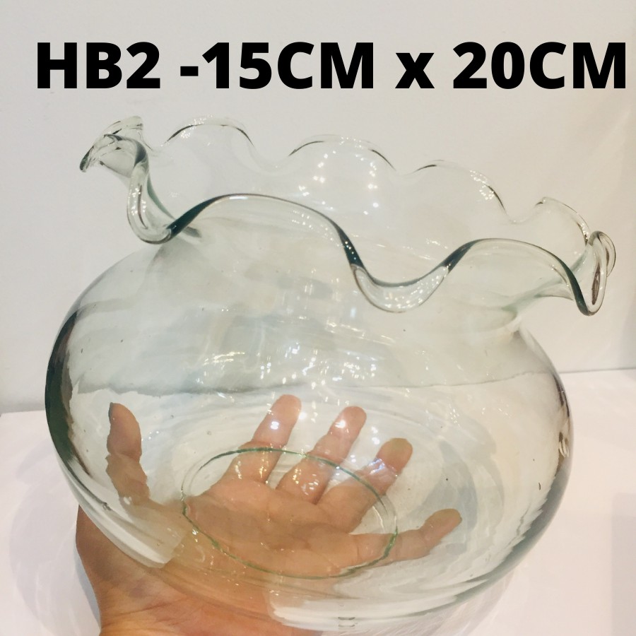 Hồ cá để bàn Bể cá Mini thủy sinh TAI BÈO, chậu cây phong thủy thủy tinh size 15CM X 20CM HT- HB2