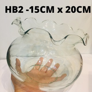 FREESHIP Bể cá thủy tinh size lớn HB2 15cm x 20cm  hồ bèo 2 thuỷ sinh, mini fish tank tròn miệng bèo, chậu trồng cây