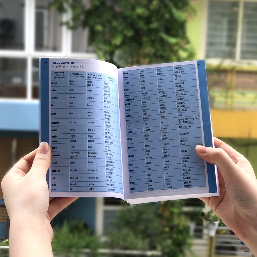 Sách - Từ điển Anh Anh Việt dành cho học sinh (2020)