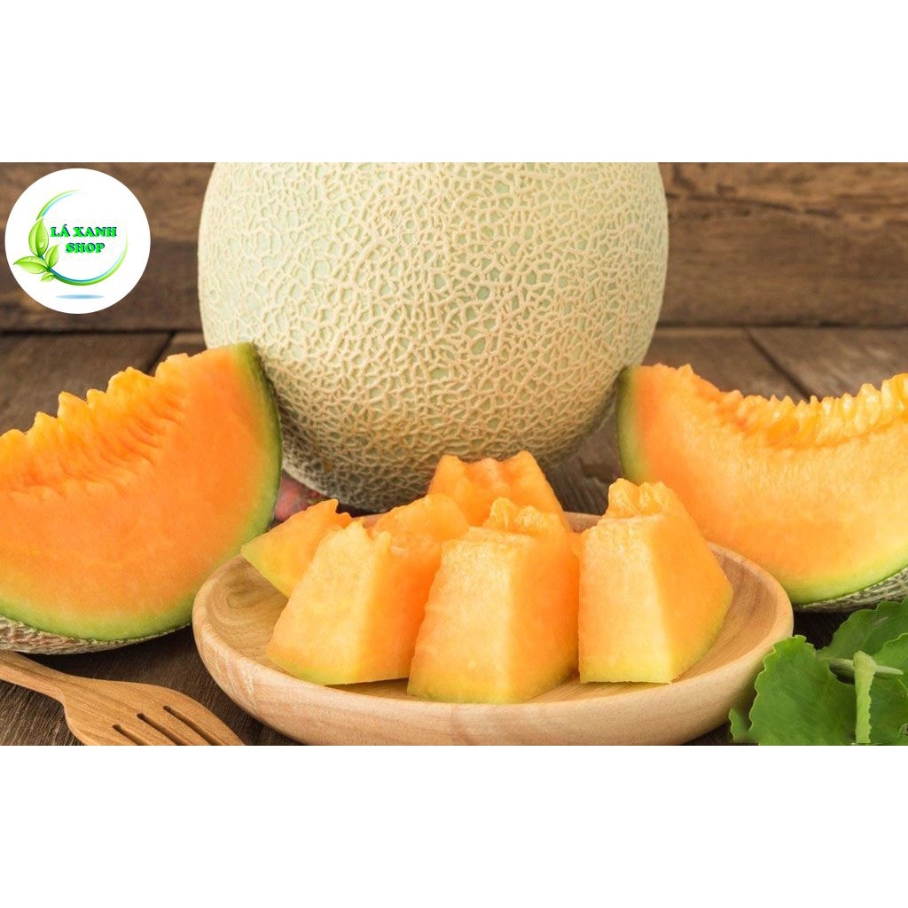 Hạt giống Dưa Lưới Ruột Vàng Lai F1, Chịu Nhiệt Tốt, Trồng Quanh Năm (gói 10 hạt) - Hạt giống Rạng Đông