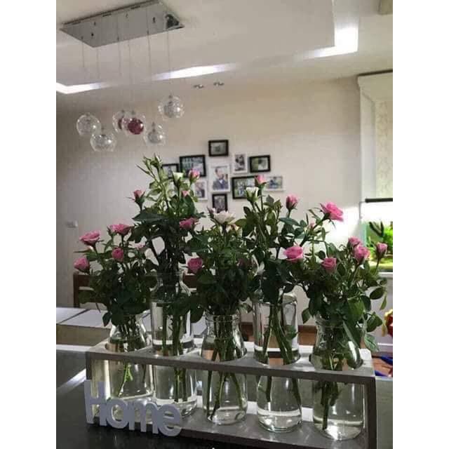Set kệ và bình thủy tinh nghệ thuật HOME