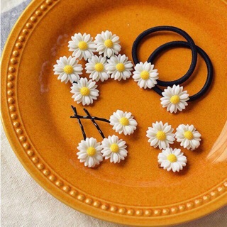 Set kẹp hoa cúc