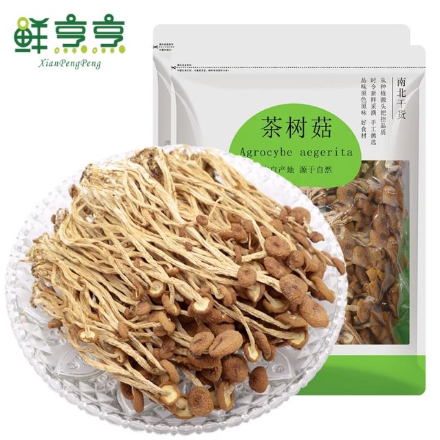 Nấm cây trà dưỡng sinh