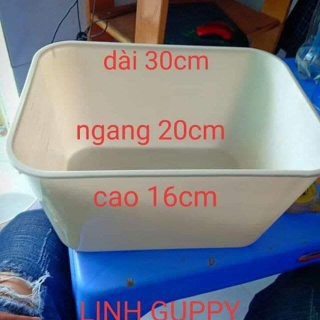 Khay nhựa nuôi cá con thùng kem ép cá