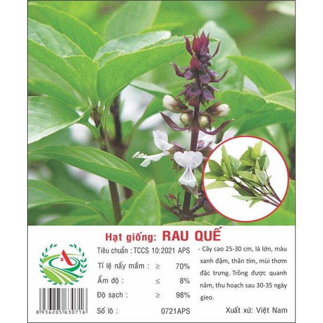 Gói hạt giống rau quế, sinh trưởng khoẻ, năng suất cao