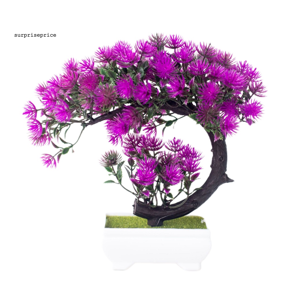 Chậu Cây Bonsai Giả Trang Trí