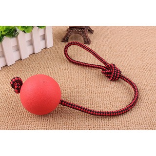 Bóng Huấn Luyện Thú Cưng