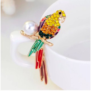 Cài áo chú vẹt may mắn