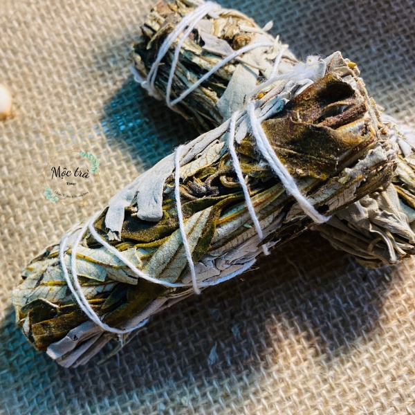 SAGE May Mắn, Bó Xô mix YEBRA SANTA, Xô Thơm Xanh, Xô Thơm Trắng loại 10cm