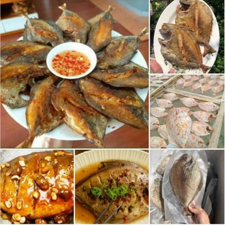 Cá chim 1 nắng !!!