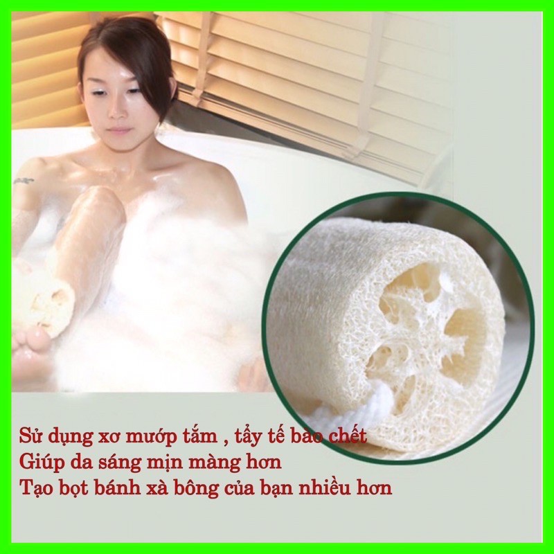 Xơ Mướp - 100% tự nhiên, dùng để tắm, tạo bọt xà bông, rửa chén bát | BigBuy360 - bigbuy360.vn