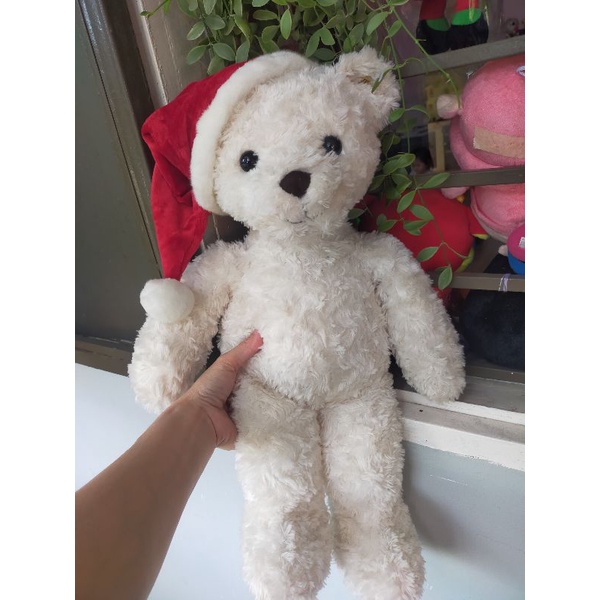 Gấu bông Teddy giá rẻ🌲☃️🍃