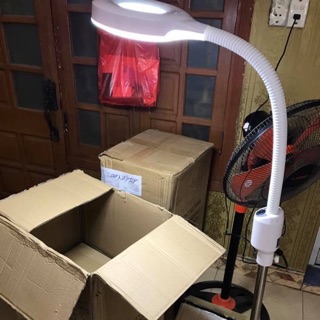 Đèn led spa