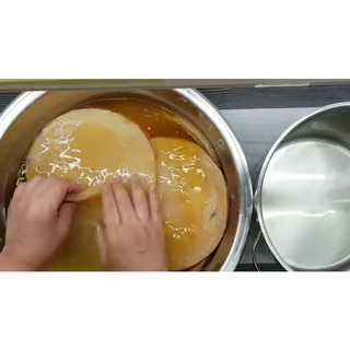 CON GIỐNG SCOBY + NƯỚC MỒI