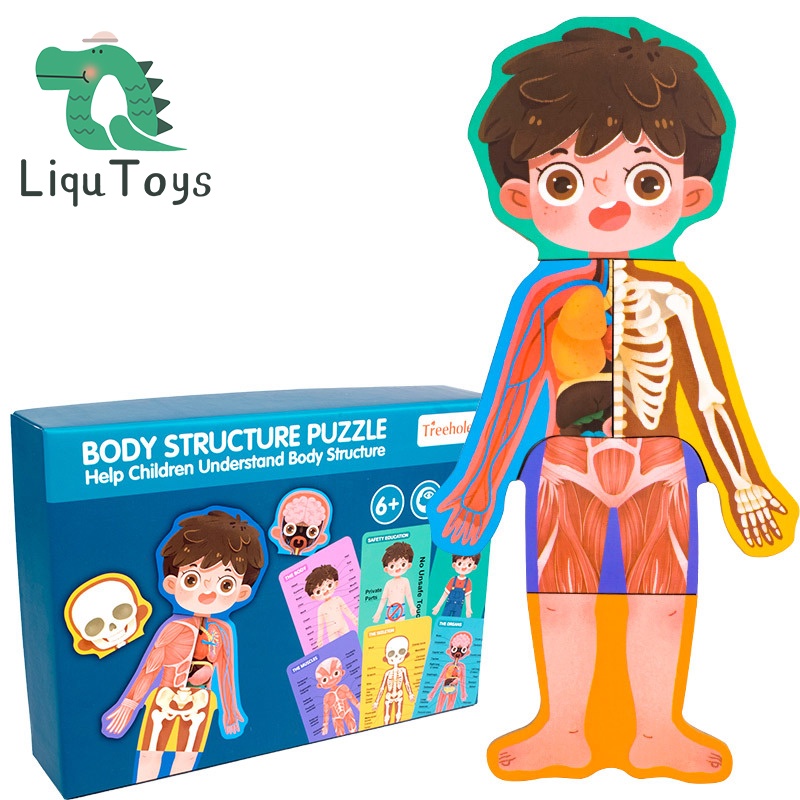 Bộ Đồ Chơi Xếp Hình Cấu Trúc Cơ Thể Montessori Bằng Gỗ Giáo Dục Nhận Thức