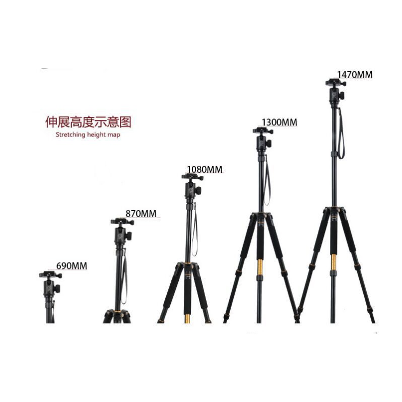 Tripod Beike Q-999S