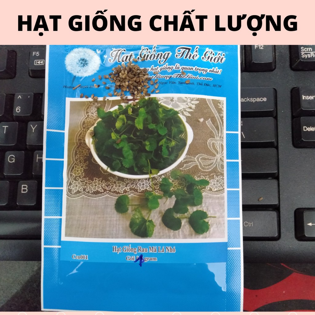 Hạt Giống Dưa Chuột Bụi Siêu Nhỏ SpaceMaster