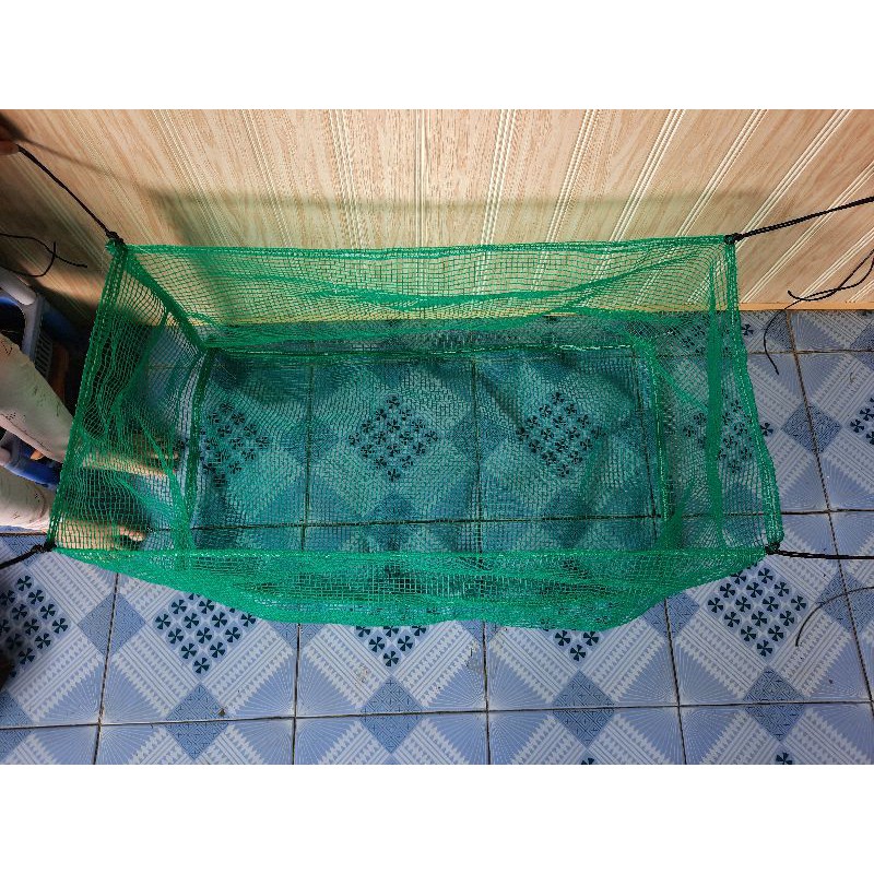 TRÁNG LỌC ỐC NHỒI GIỐNG