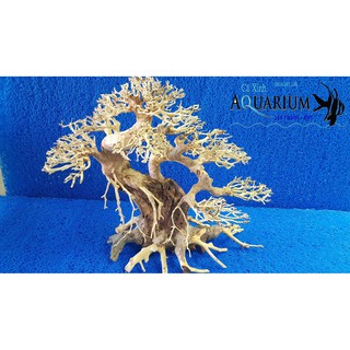 Cây Bonsai cho hồ cá size trung