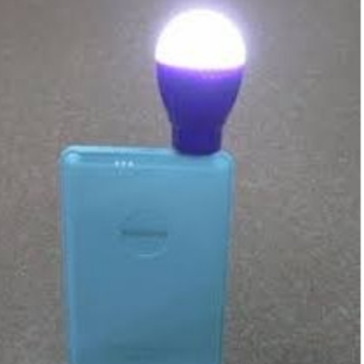 Bóng đèn tròn led usb mini