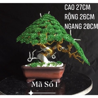 Cây cảnh bonsai handmade