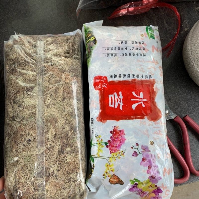Tảo nén NHẬT trồng lan (dớn trắng, dớn sợi mềm)