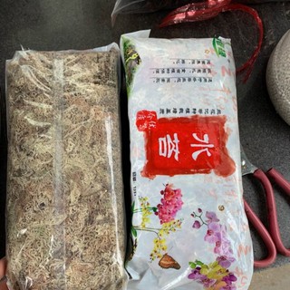 Tảo nén NHẬT trồng lan (dớn trắng, dớn sợi mềm)