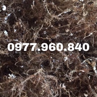 500G RONG BIỂN RAU CÂU XU XOA LÝ SƠN KHÔ NGON SẠCH HOÀN TOÀN TỪ THIÊN NHIÊN QUẢNG NGÃI