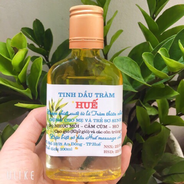 ✅ Tinh dầu tràm huế nguyên chất 100ml tinh dầu chàm cho bé baby oil massage
