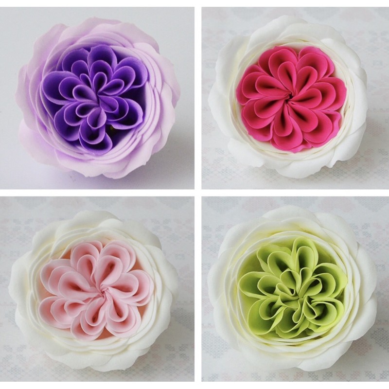 Hoa sáp cao cấp ecuador