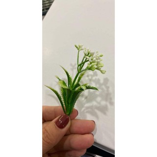 1 lạng cỏ điểm 18k