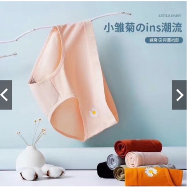 HÓT NĂM NAY-Quần Lót Cotton Cúc Họa Mi Kháng Khuẩn Chống Viêm | BigBuy360 - bigbuy360.vn